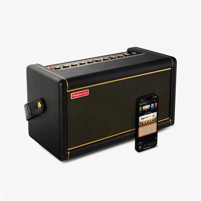 AMPLI. GUIT. 50W NOIR POSITIVE GRID